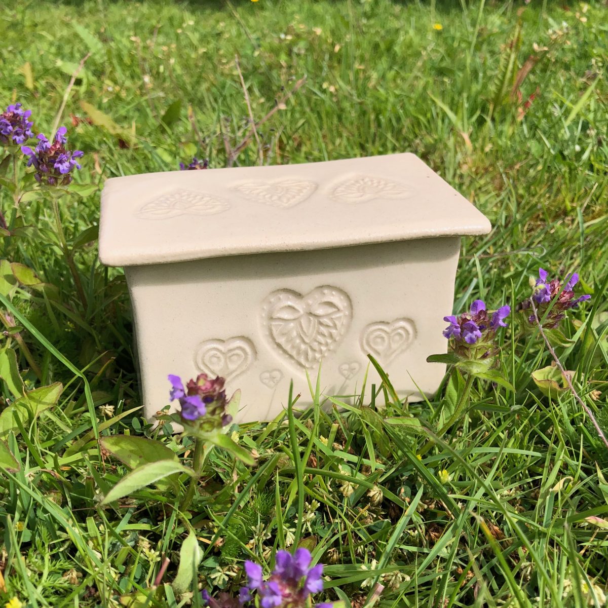 Sally Mareike Devon Artist Network